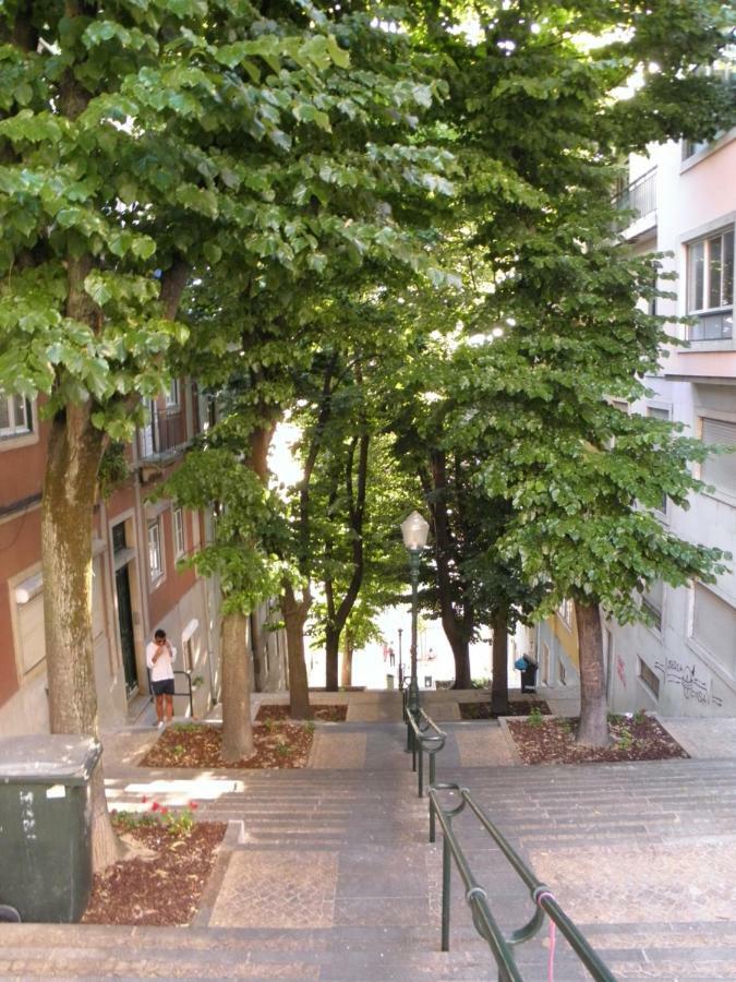 Sunny Orange Garden Apartment In Central Lisbon Exterior photo